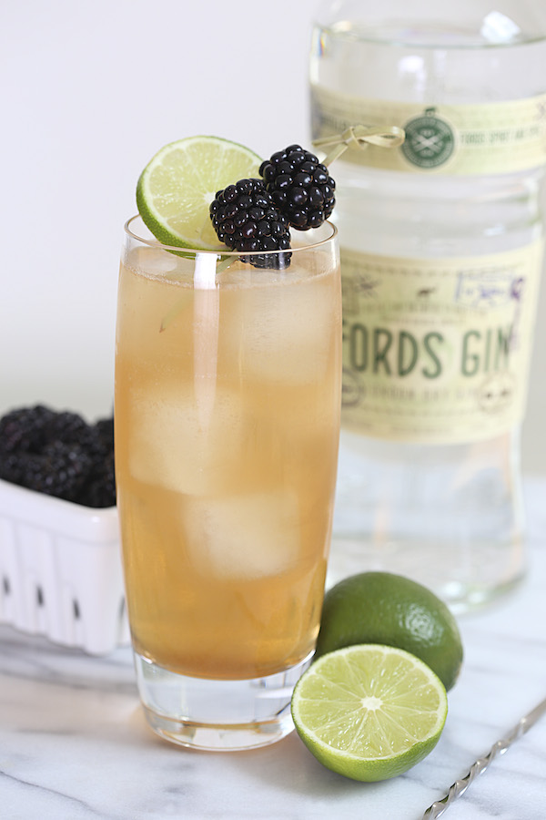 top gin and tonics