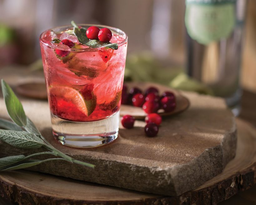 7 Creative Cranberry Cocktails: Seasonal Sips Chock Full of Good
