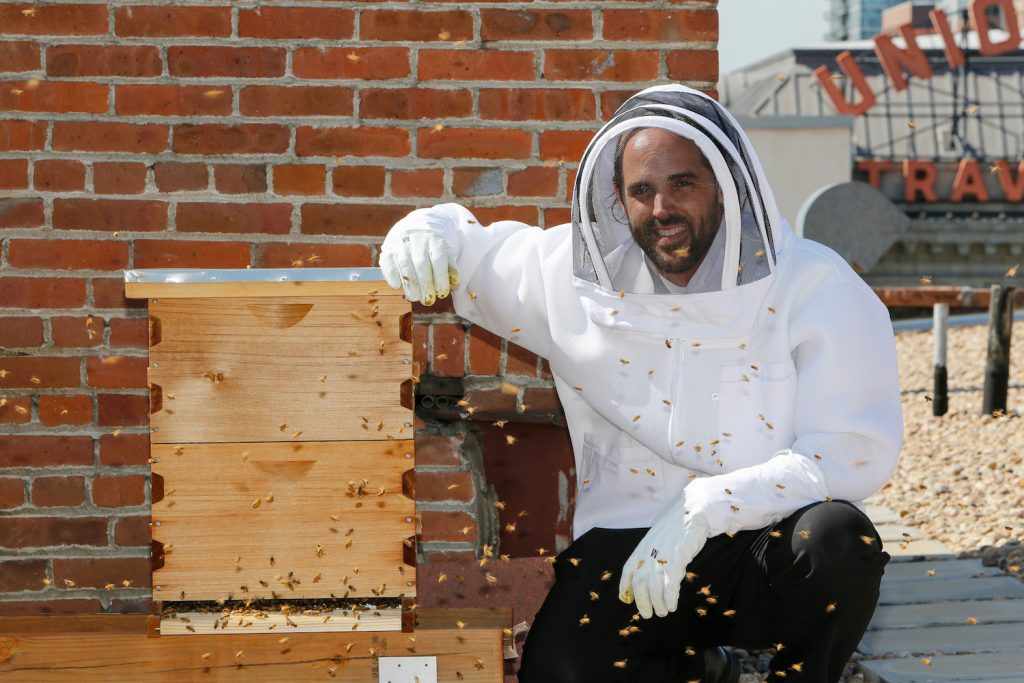 beekeeping for restaurants