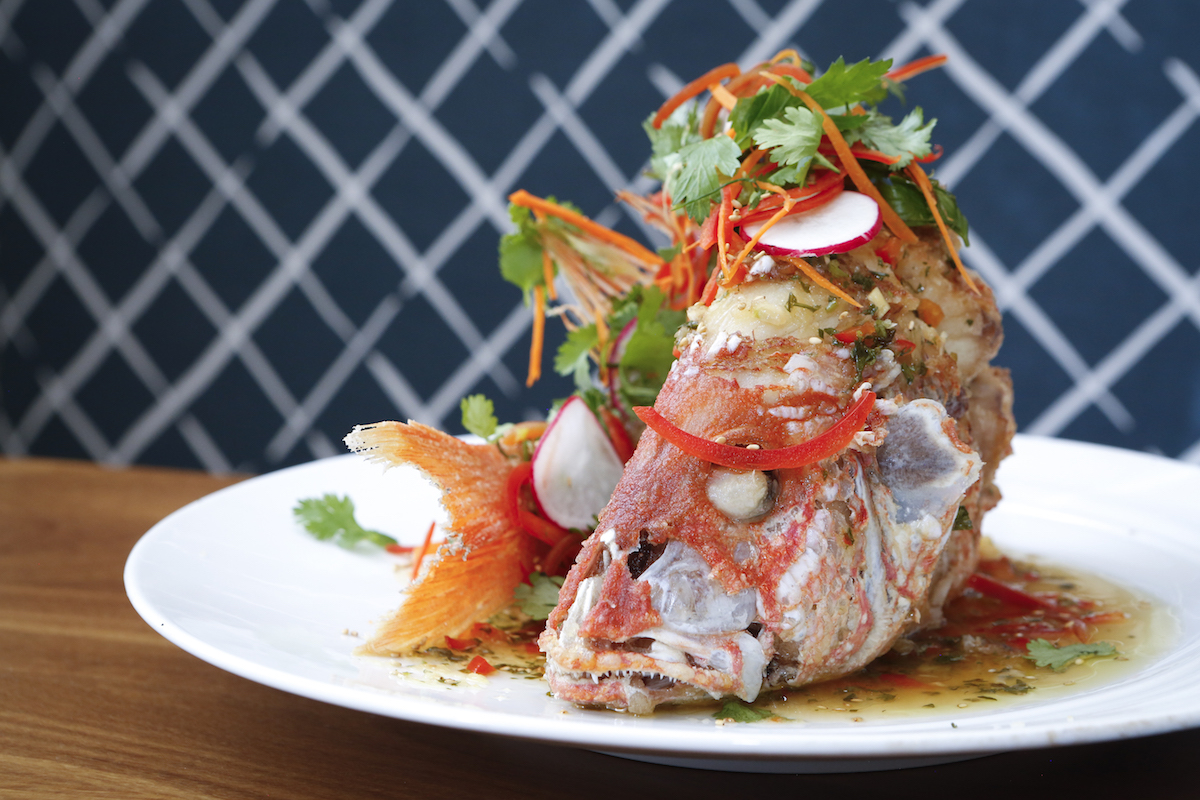 top denver restaurants