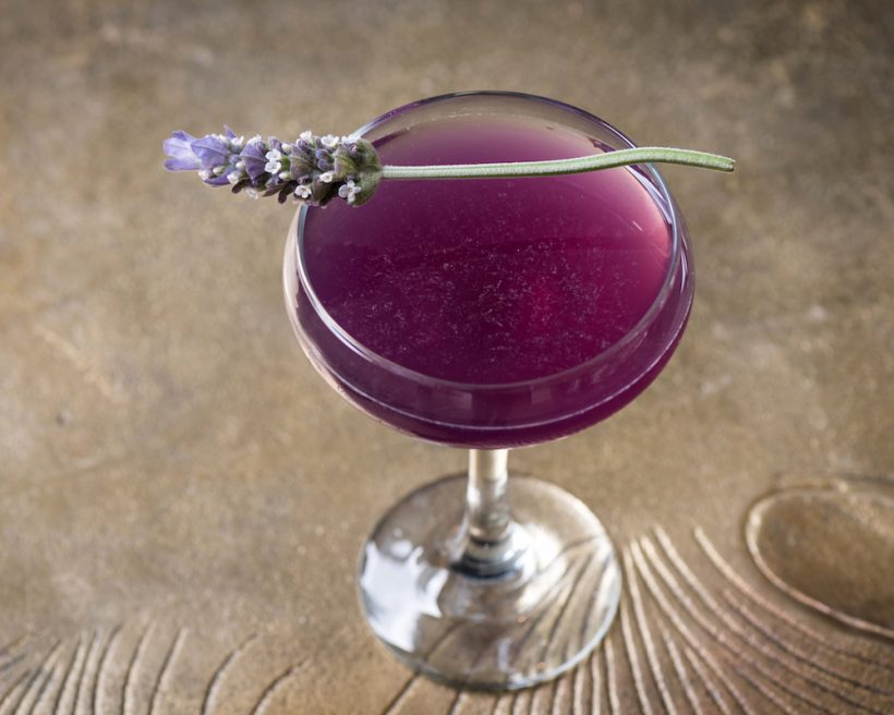 Lavender Cocktails