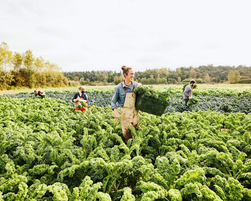 8 Paths Toward a Healthier, Smarter, and More Sustainable Restaurant Future