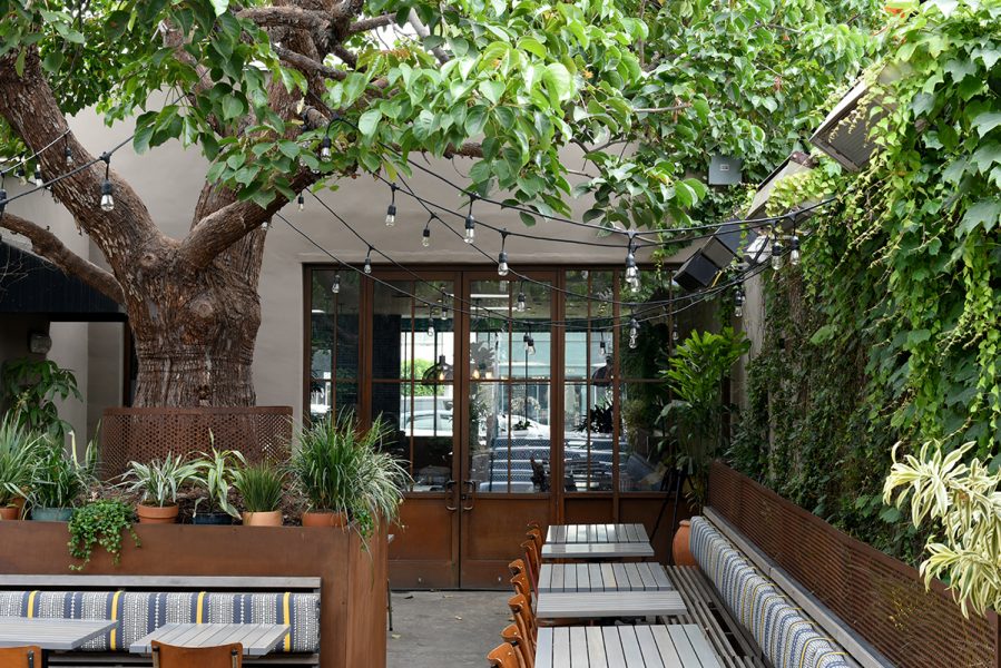 A foliage-filled outdoor patio