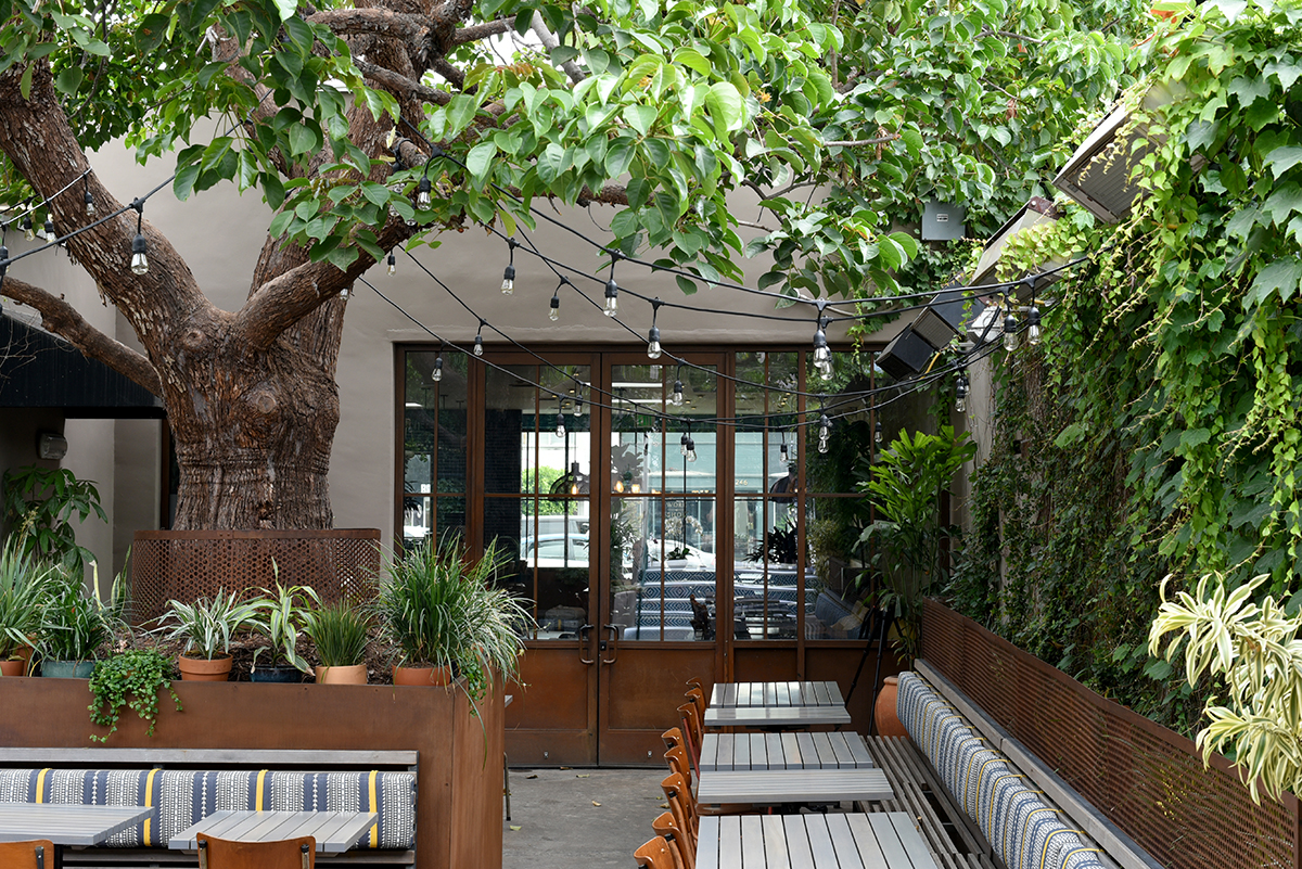 A foliage-filled outdoor patio