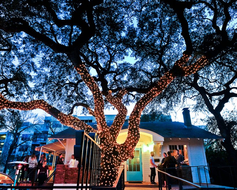 A tree at sunset overlooking a restaurant