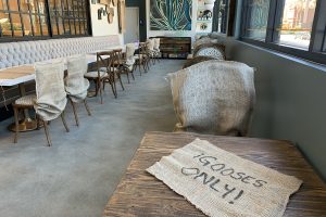 A sign that says "gooses only!" on a wooden table