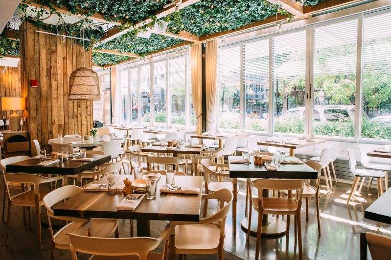 Lush plantlife deck the ceiling's at at Ēma in Chicago.