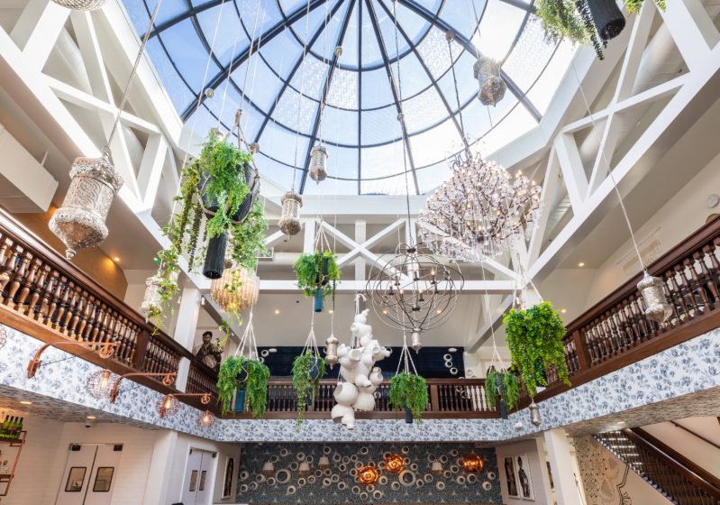 Skylight with hanging plants and chandelier