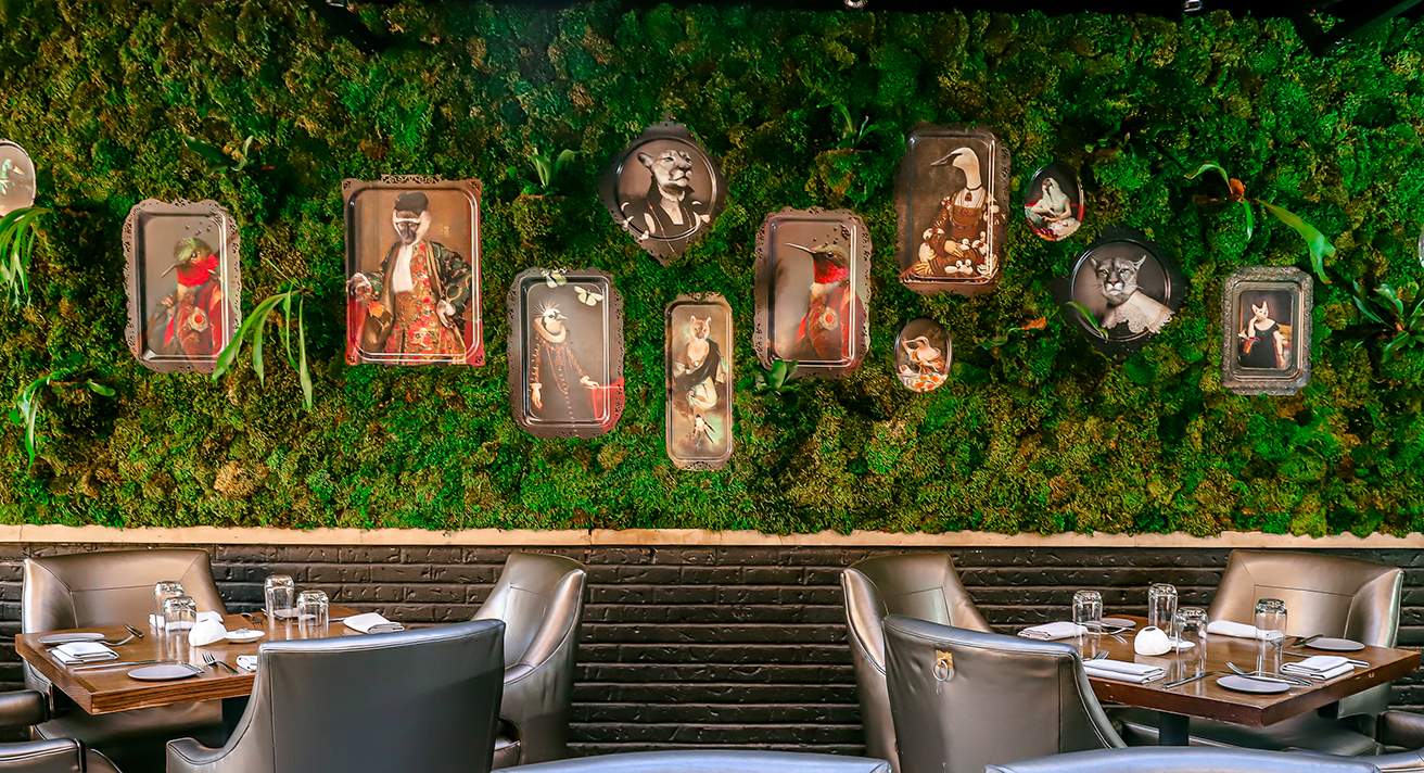 Best Restaurants In Chicago Suburbs 2025 Cami Amelita