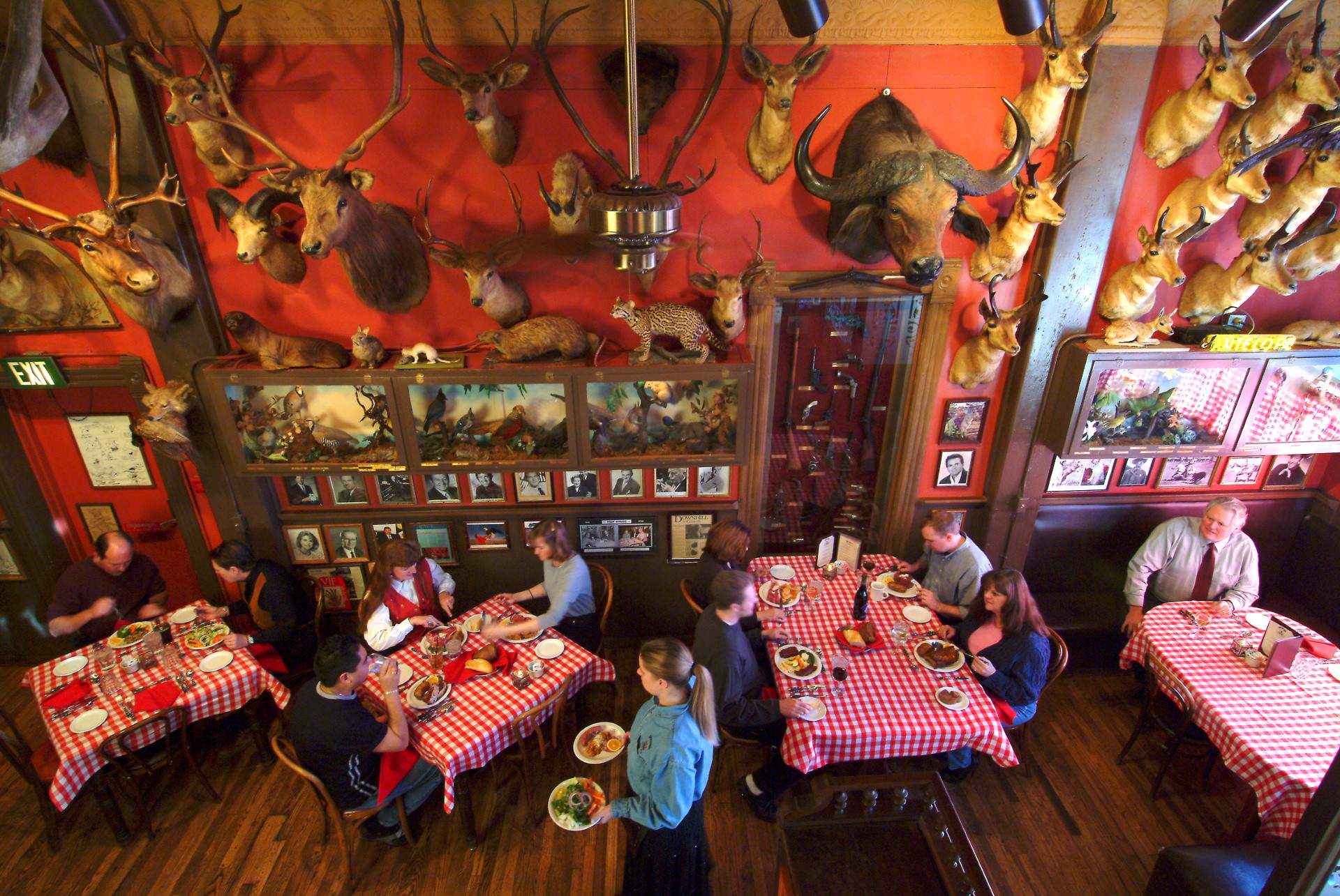 Taxidermy animals on the walls at Buckhorn Exchange in Denver
