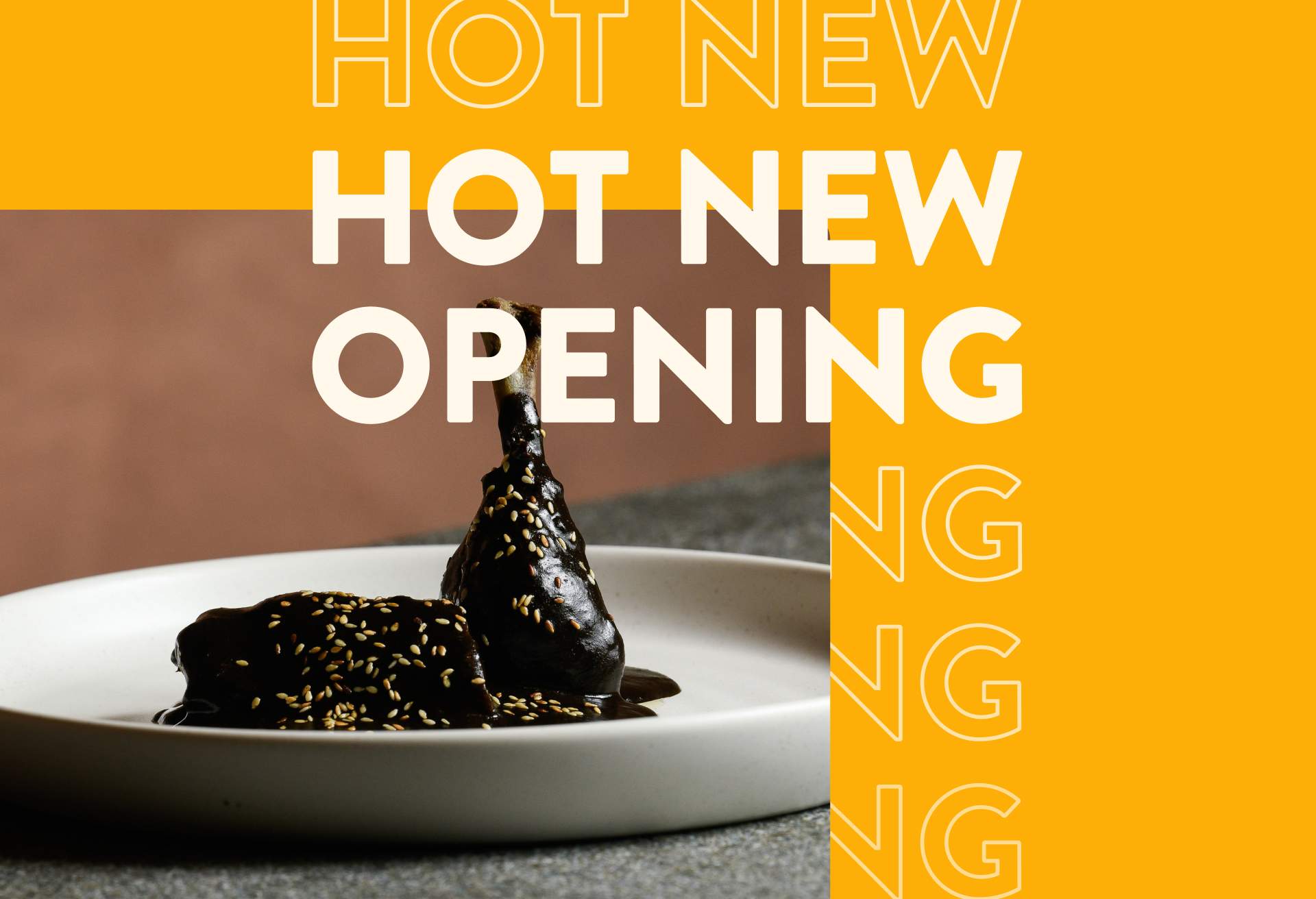 A close up of a plate dish of mole in a white plate with a branded hot new openings graphics border
