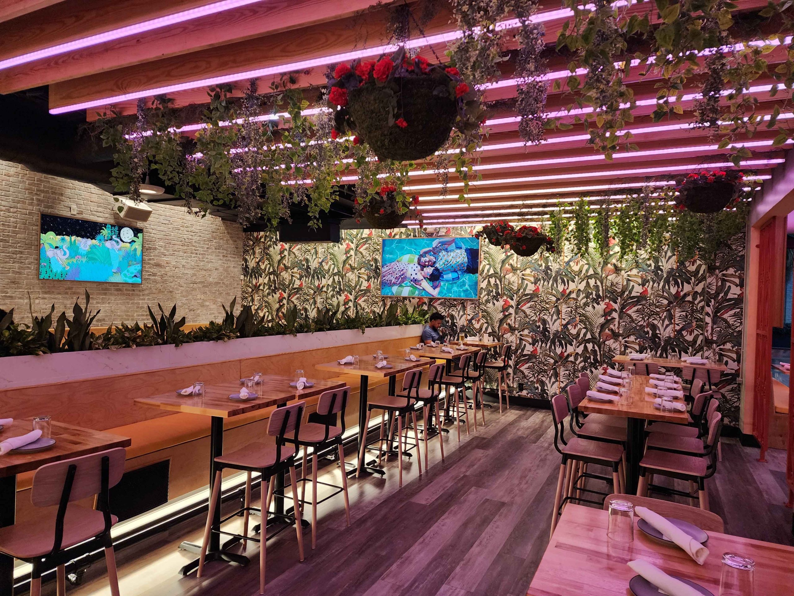 High-top tables, tropical wallpaper, and hanging plants at Mister Oso in New Orleans