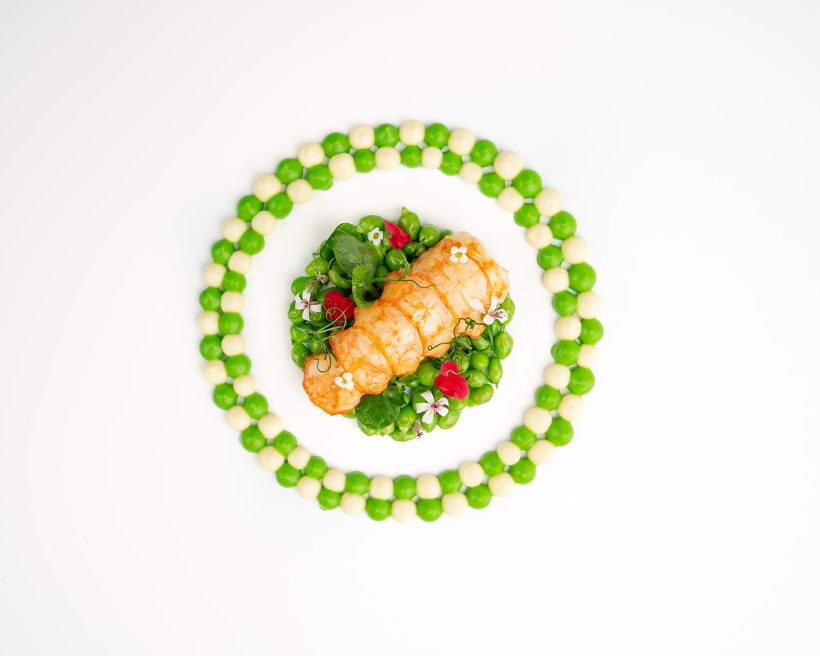 A langoustine surrounded by dots of sauce