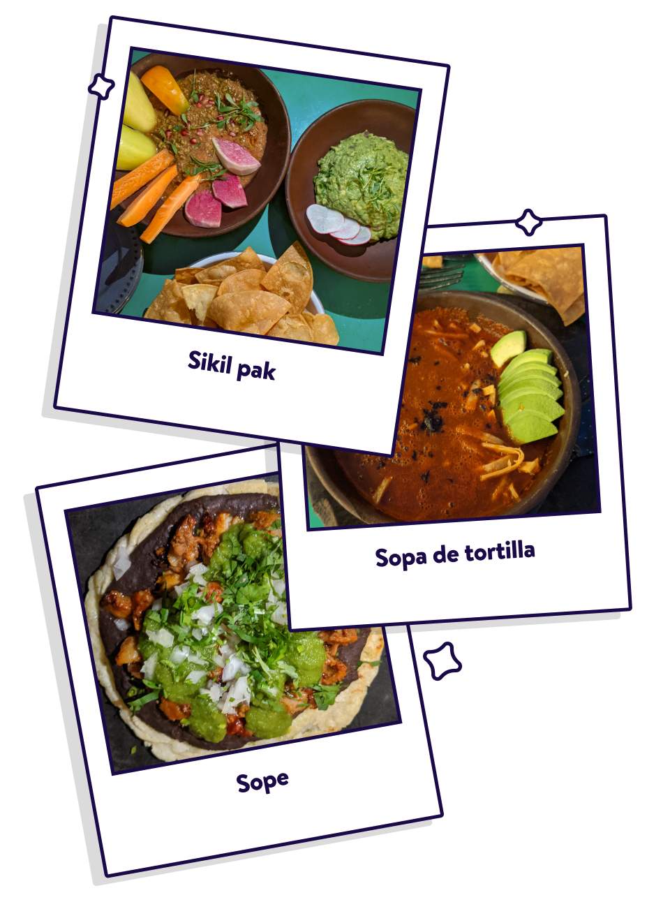 Various plates of food designed polaroid style showcasing dishes from the Philadelphia restaurant Sor Ynez including guacamole, salsa and chips