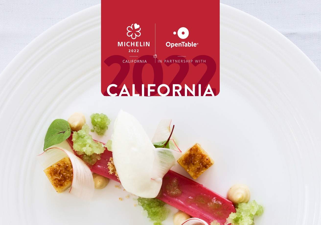 An image of a white plate with artfully plated food and a MICHELIN logo on top