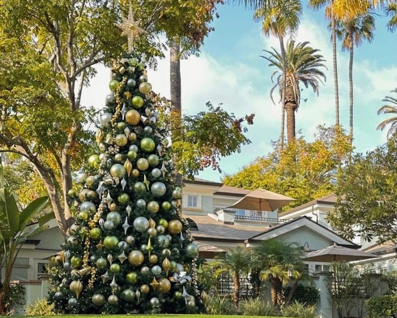 A moreton bay fig tree decorated with christmas ornaments at the Fairmont hotel in Los Angeles
