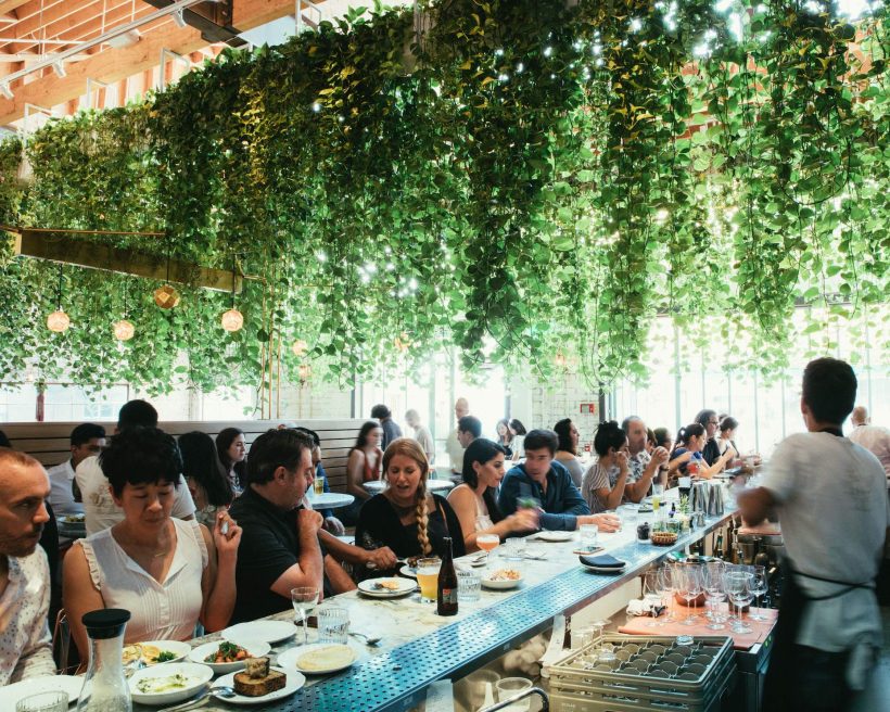 The interior of the restaurant Bavel in Los Angeles with a lush plant overhang.