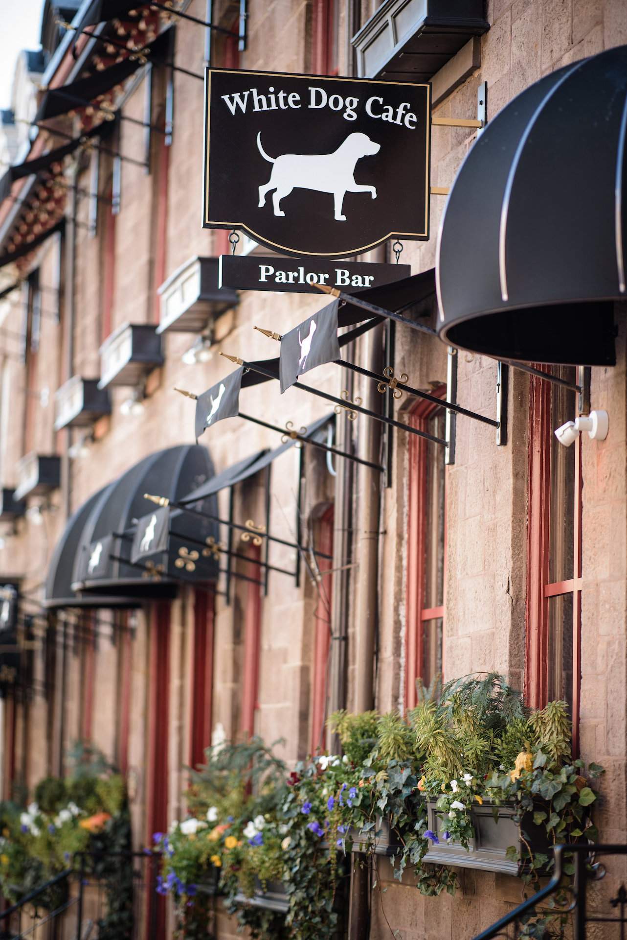 The exterior of a White Dog Cafe in Philadelphia