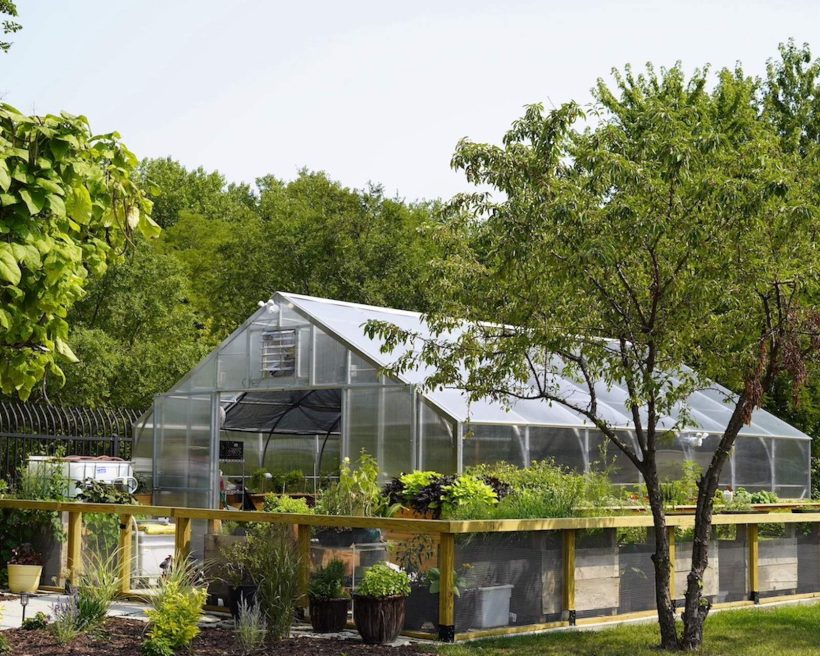 Trees around a glass greenhouse at Chicago restaurant Eden.