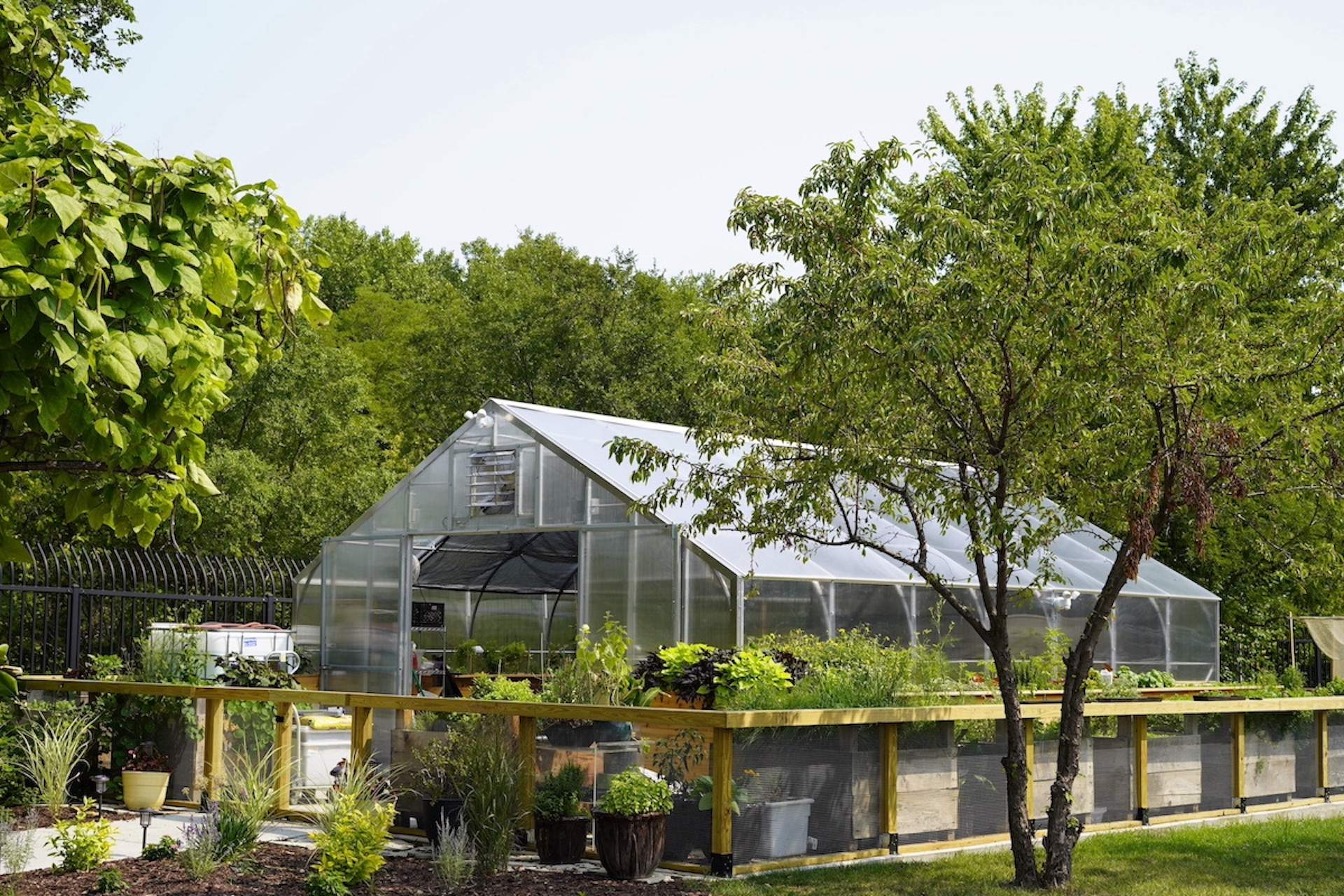 Trees around a glass greenhouse at Chicago restaurant Eden.