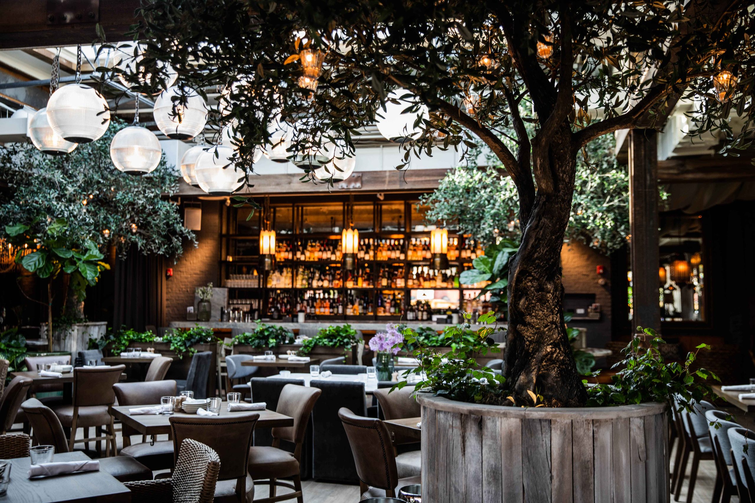 Globe-shaped lights, towering trees, and assorted plants make up the dining room at Aba in Chicago.