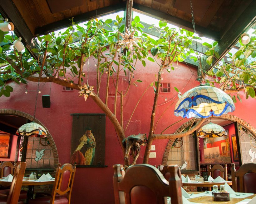 The interior of the Los Angeles Mexican restaurant Casita del Campo featuring stained glass lamps, a red wall, and a tree that reaches the roof.
