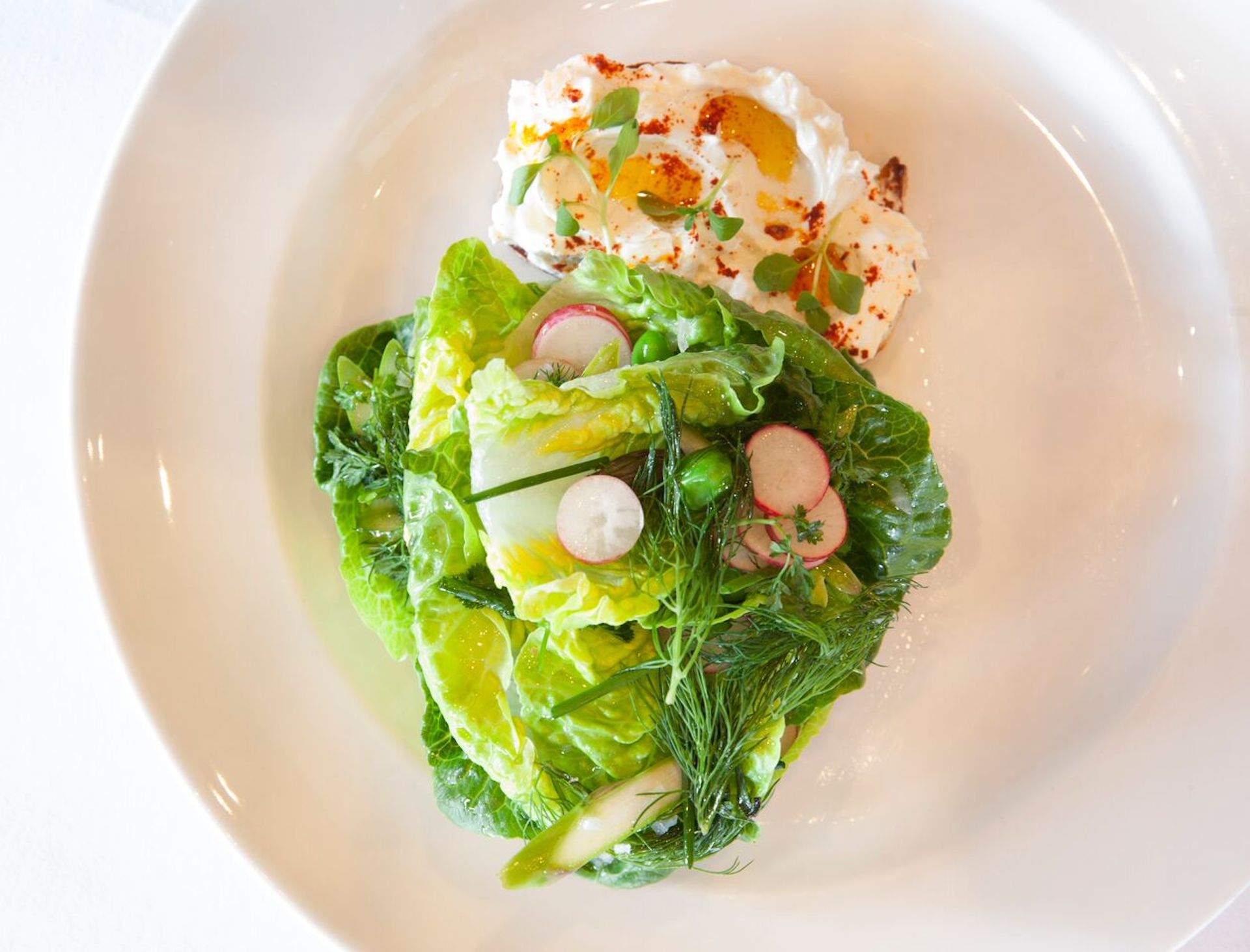 A lettuce salad with a white dip at Los Angeles restaurant Osteria Mozza.