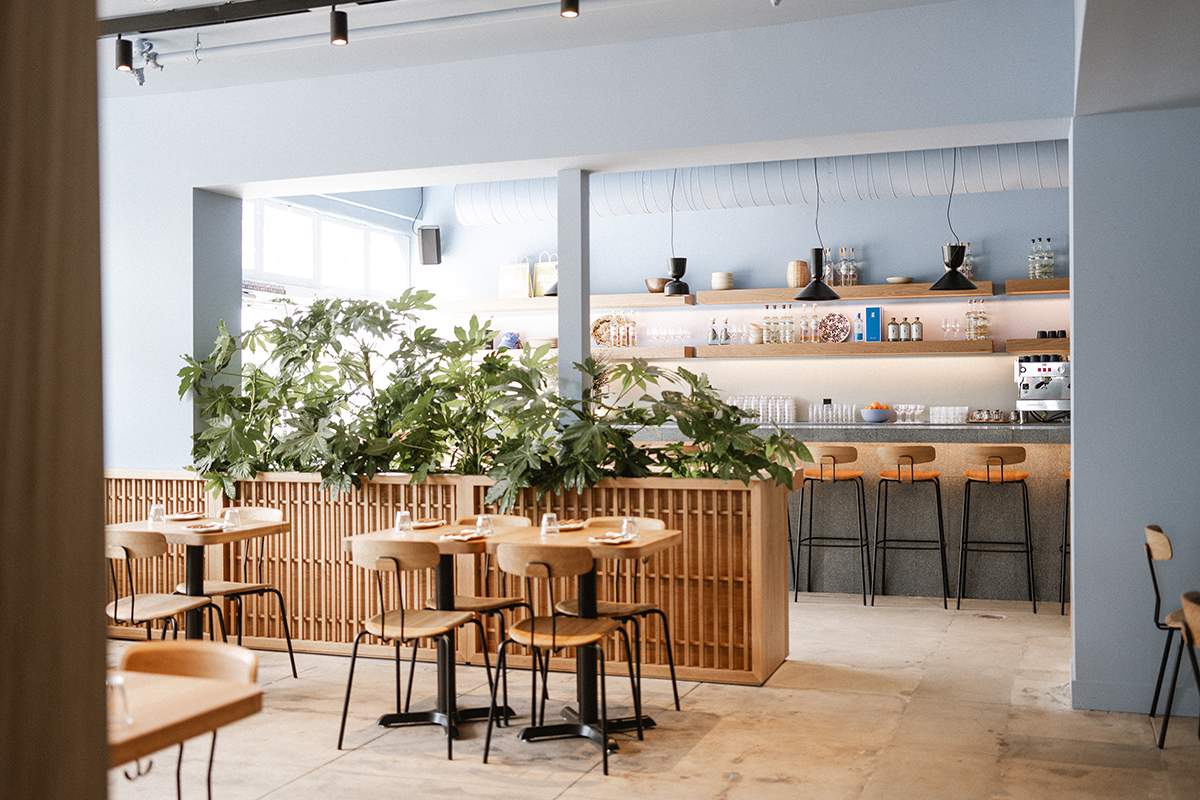 A look inside ATLA Venice in Los Angeles, with blonde wood tables and chairs, lots of greenery, and a minimalist bar.