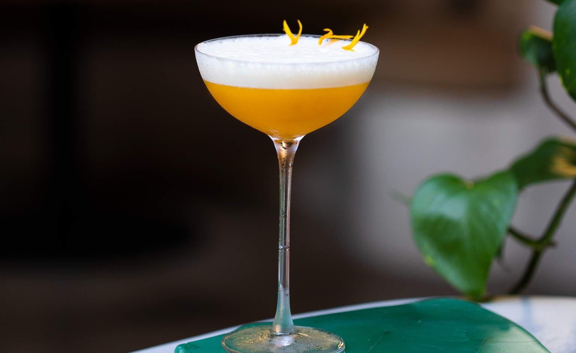 An orange cocktail with a flower petal garnish at Los Angeles restaurant Meteora