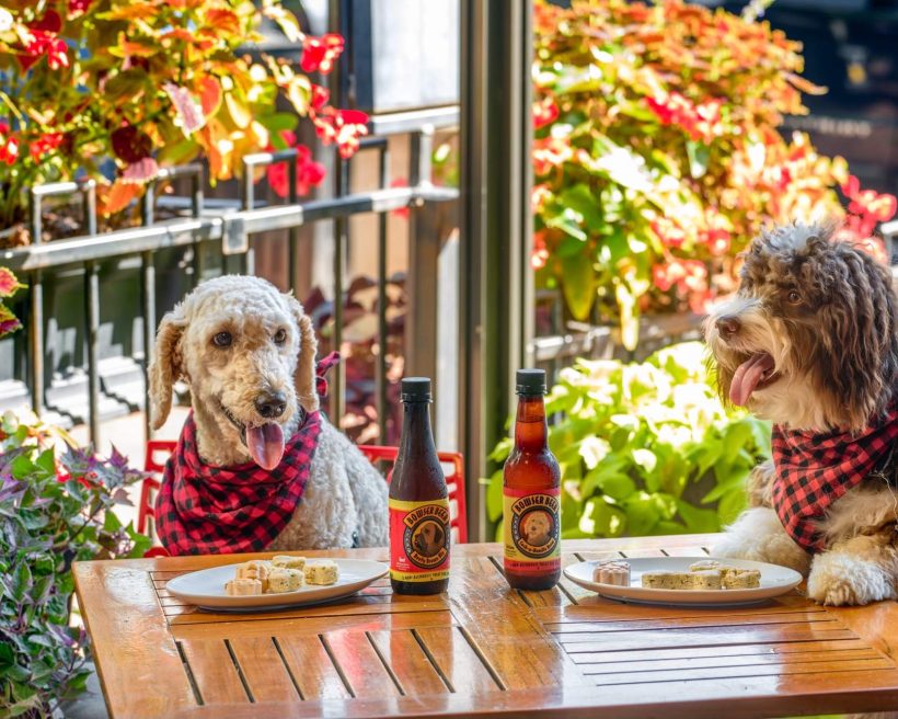 Two dogs sit at a wooden table topped with dog-friendly beer and snacks, surrounded by foliage at Posana in Asheville