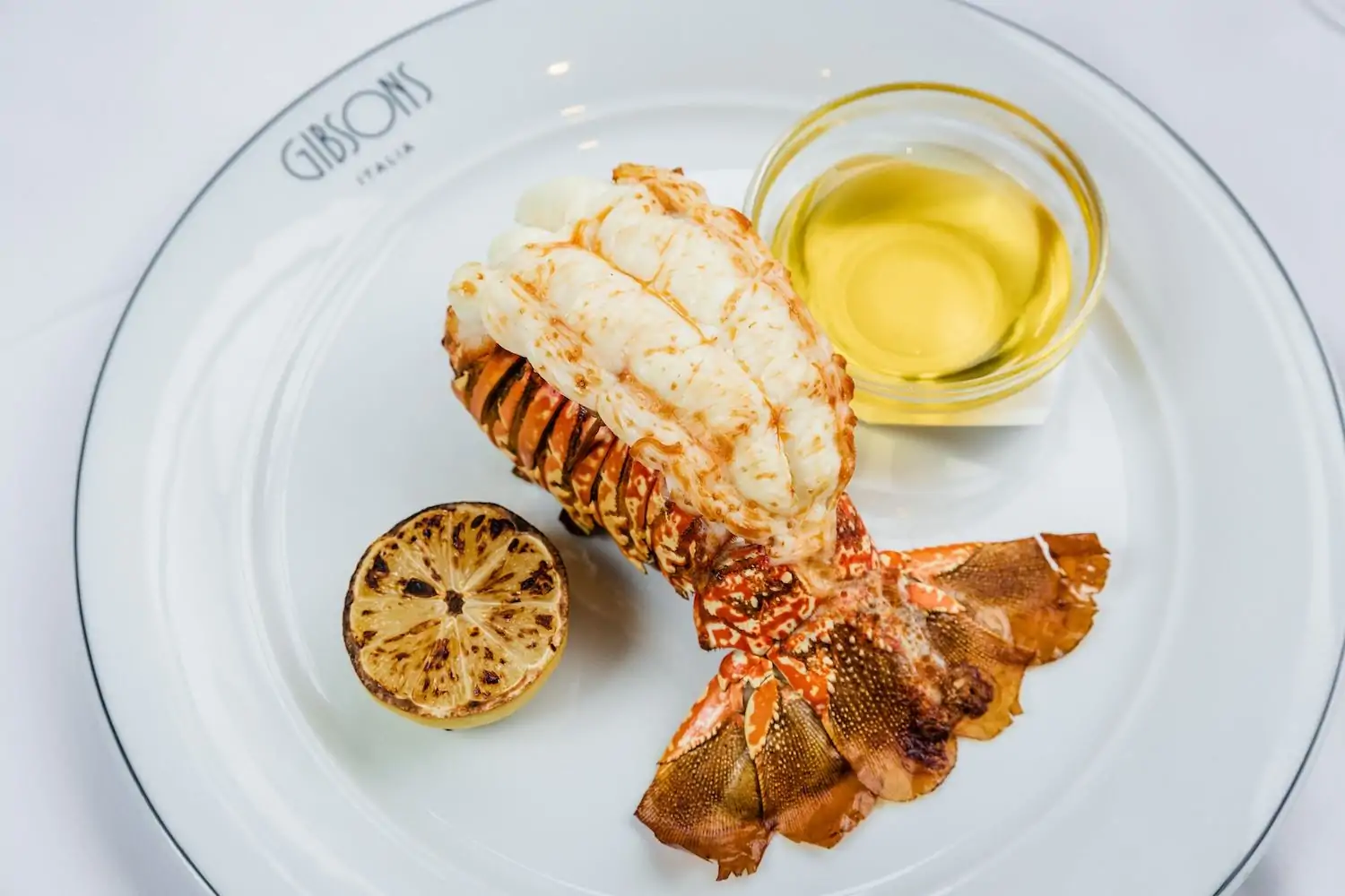 A lobster tail from Gibsons Italia in Chicago, available on OpenTable.