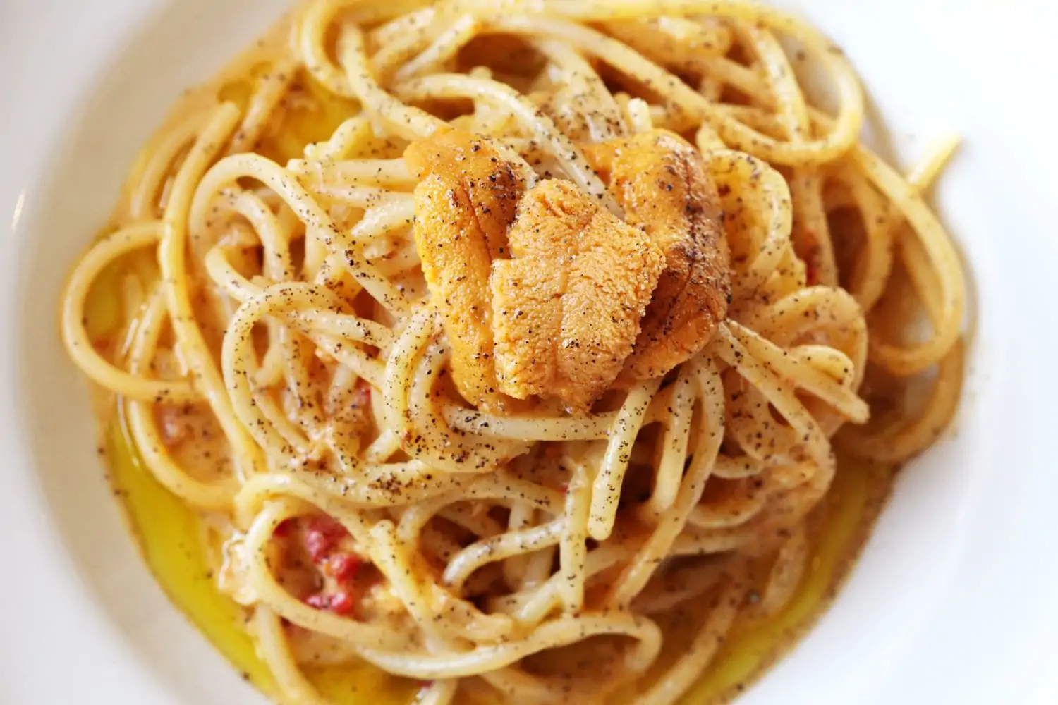 A white plate of spaghetti pasta with a creamy sauce and sea urchin on top at Antico Nuovo in Los Angeles, available to book on OpenTable.