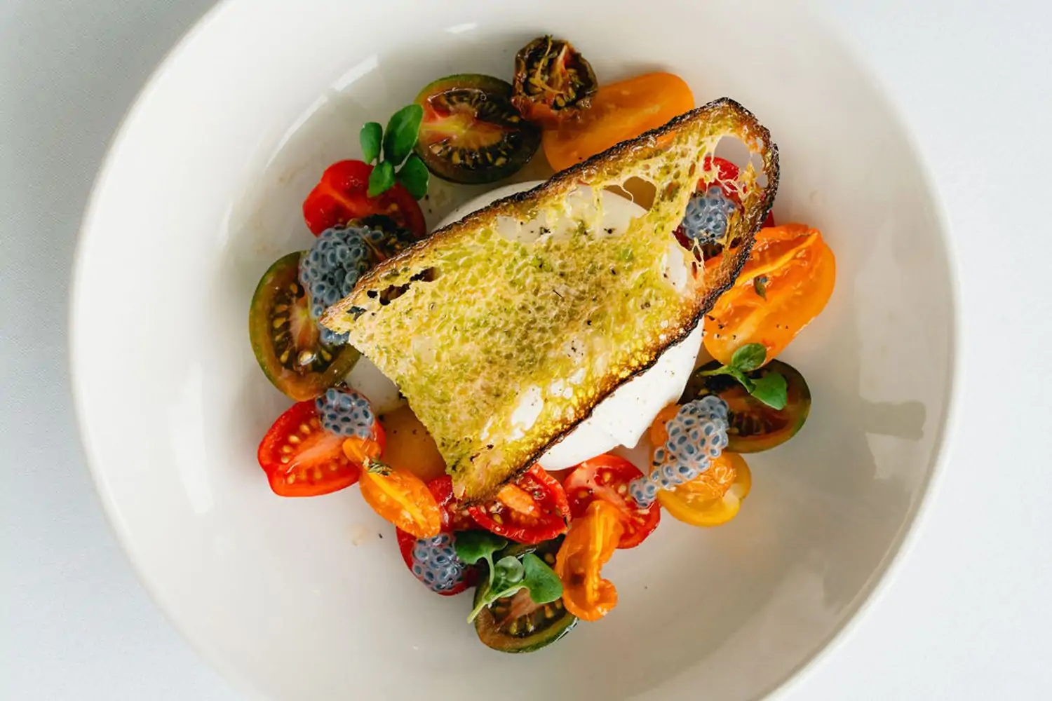 Tomatoes surround garlic bread and creamy cheese at Tovala, an OpenTable selection and one of the 13 best Italian restaurants in Houston.