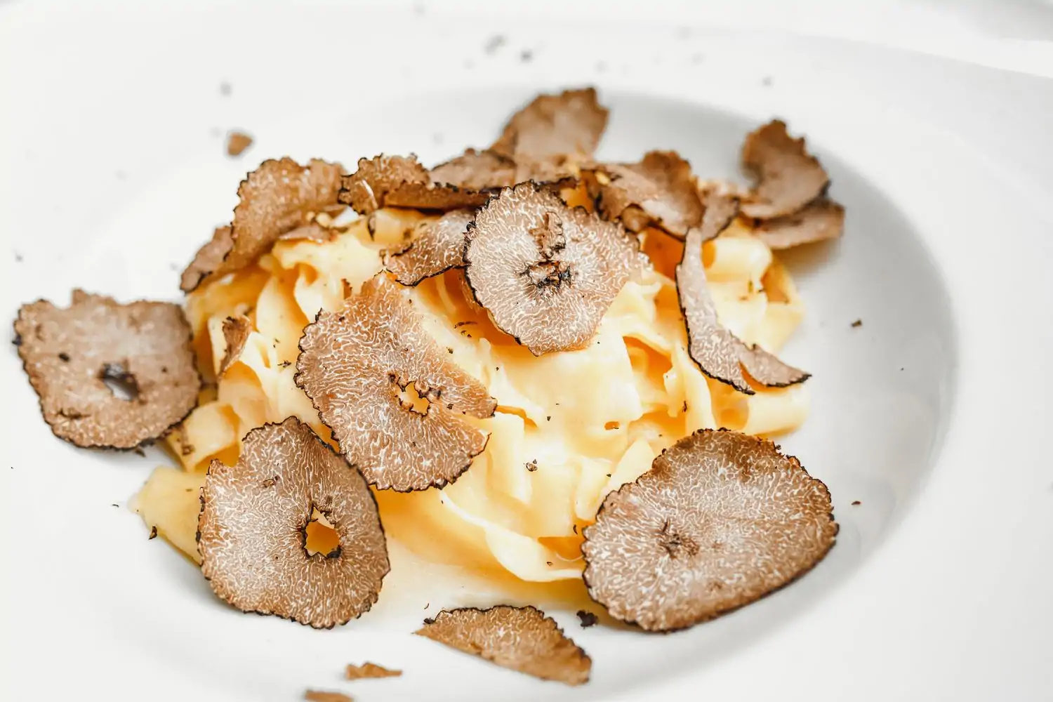 A plate of pasta with cream sauce topped with truffles at AMORE Italian Restaurant, bookable on OpenTable.