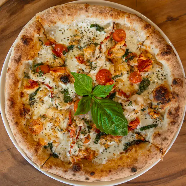 A pizza margherita, with melted cheese and tomatoes at OpenTable hotspot Zanti Cucina Italiana, one of the best Italian restaurants in Houston.