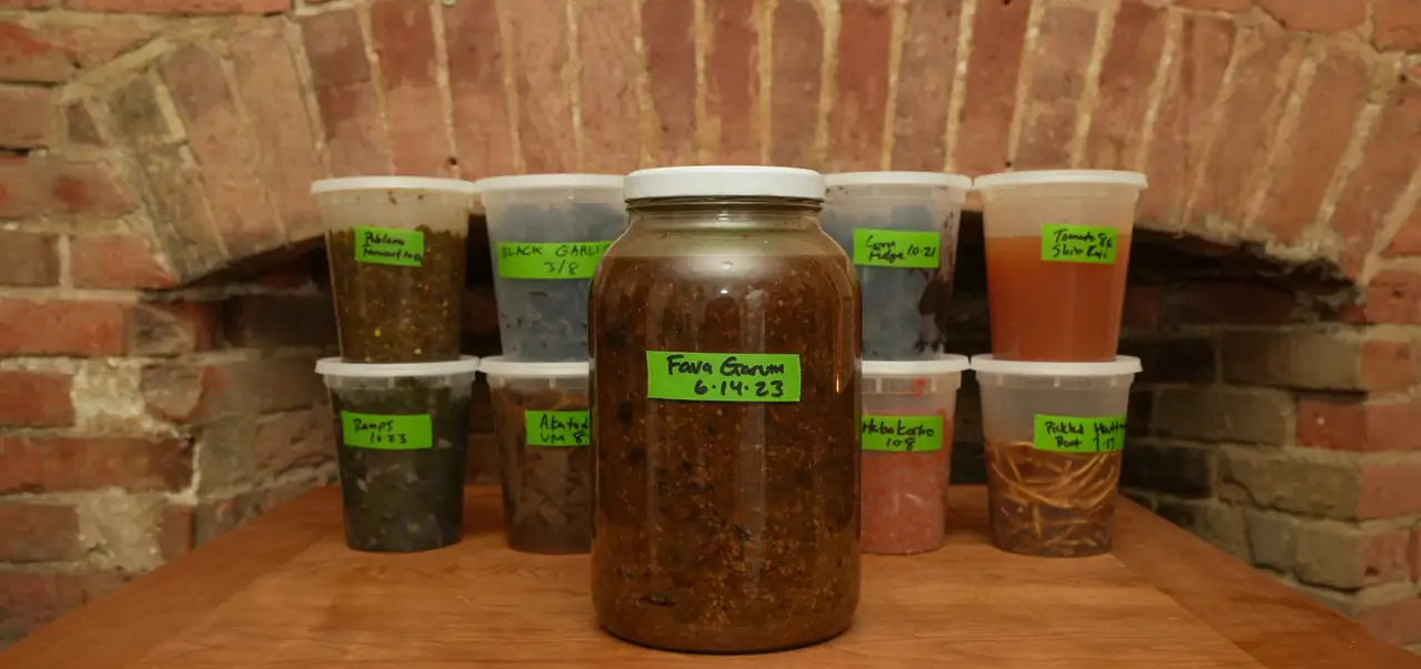 20-month-aged-fave-bean-garum