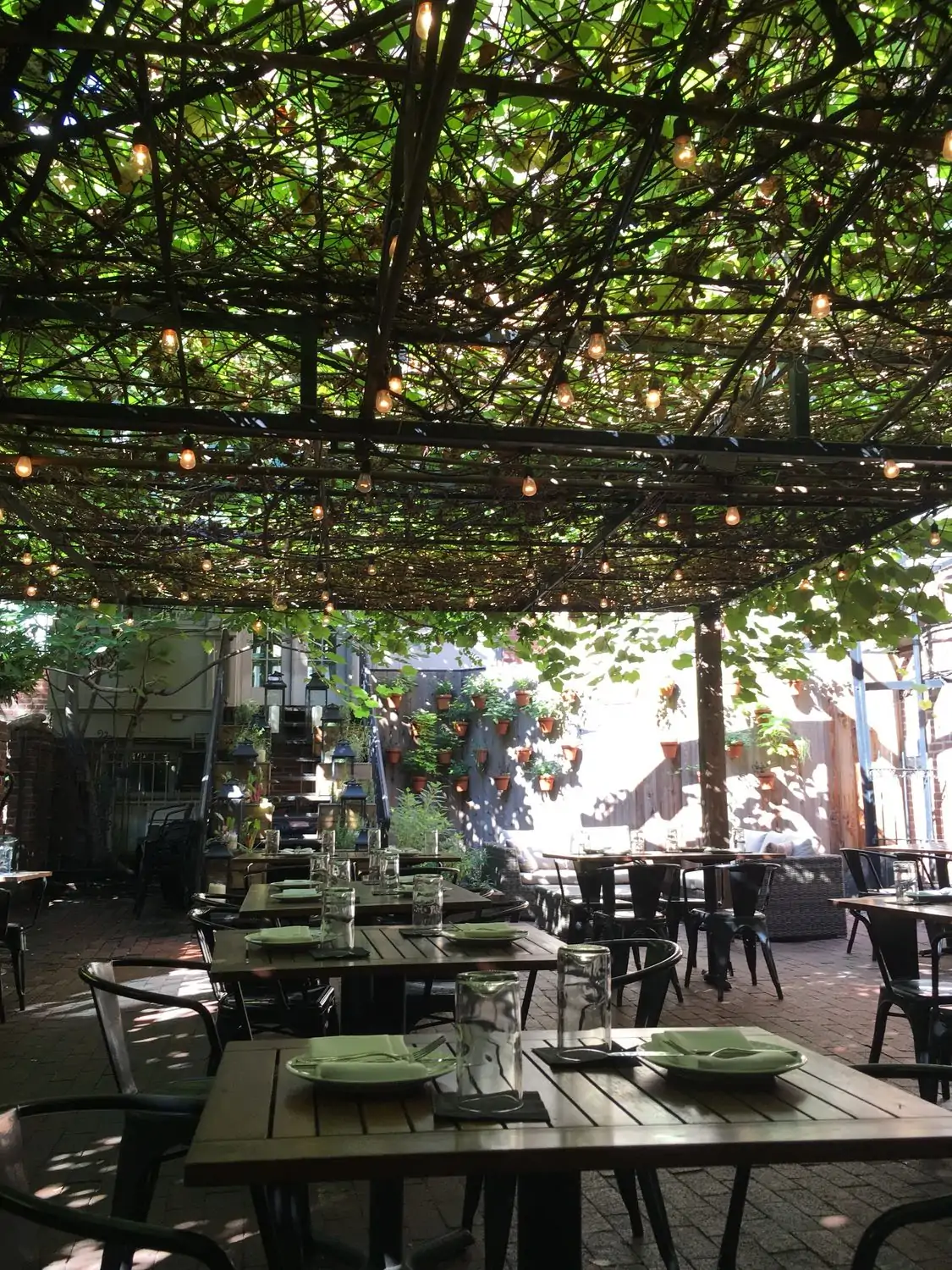 At Iron Gate, one of the best restaurants in Dupont Circle, DC, a stylish patio has wooden tables and secluded nooks as it’s covered by wisteria with festoon lighting—book on OpenTable.