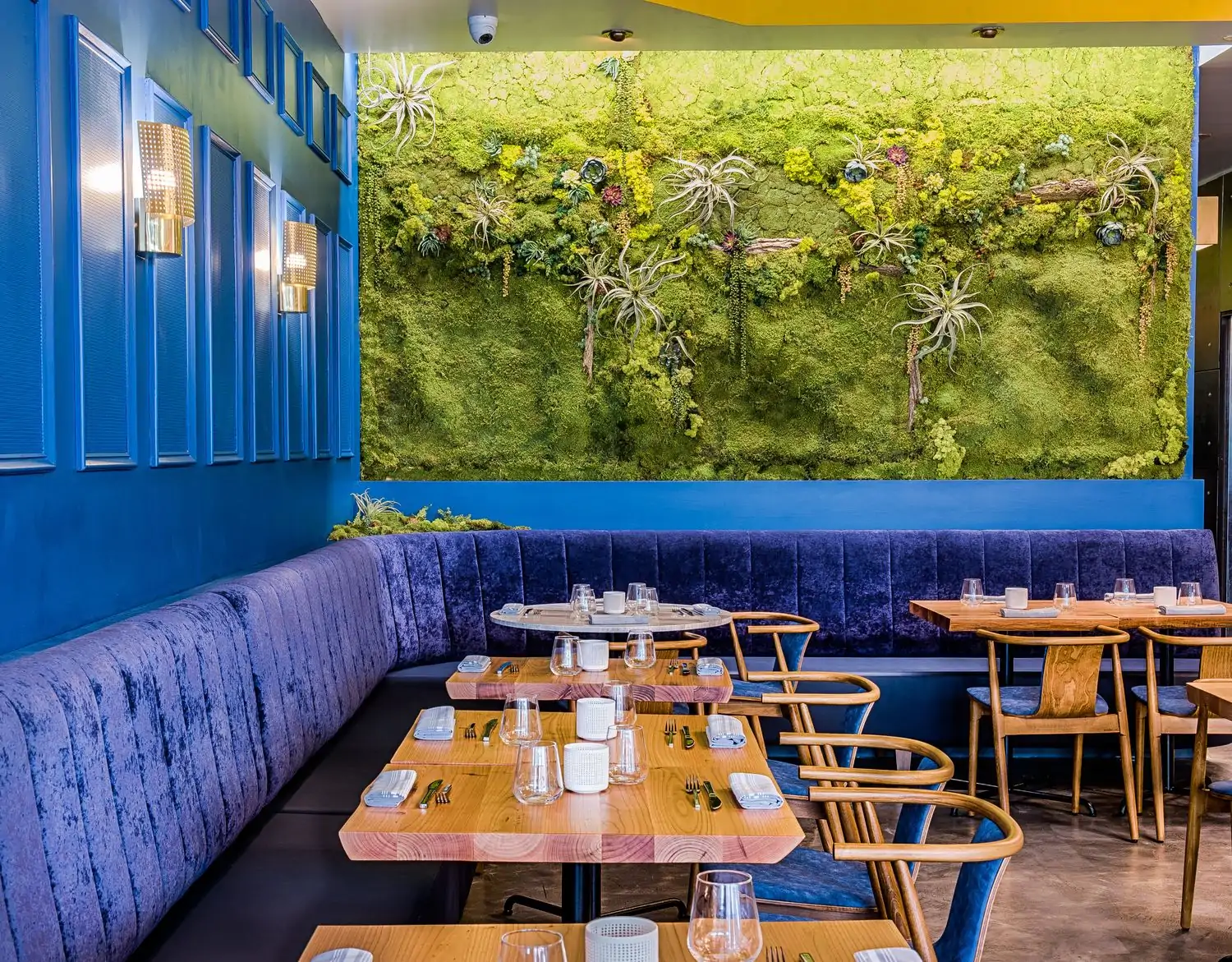 A dining room with blue velvet upholstery and terrarium statement walls at Bresca, a Washington, DC, MICHELIN-star restaurant.