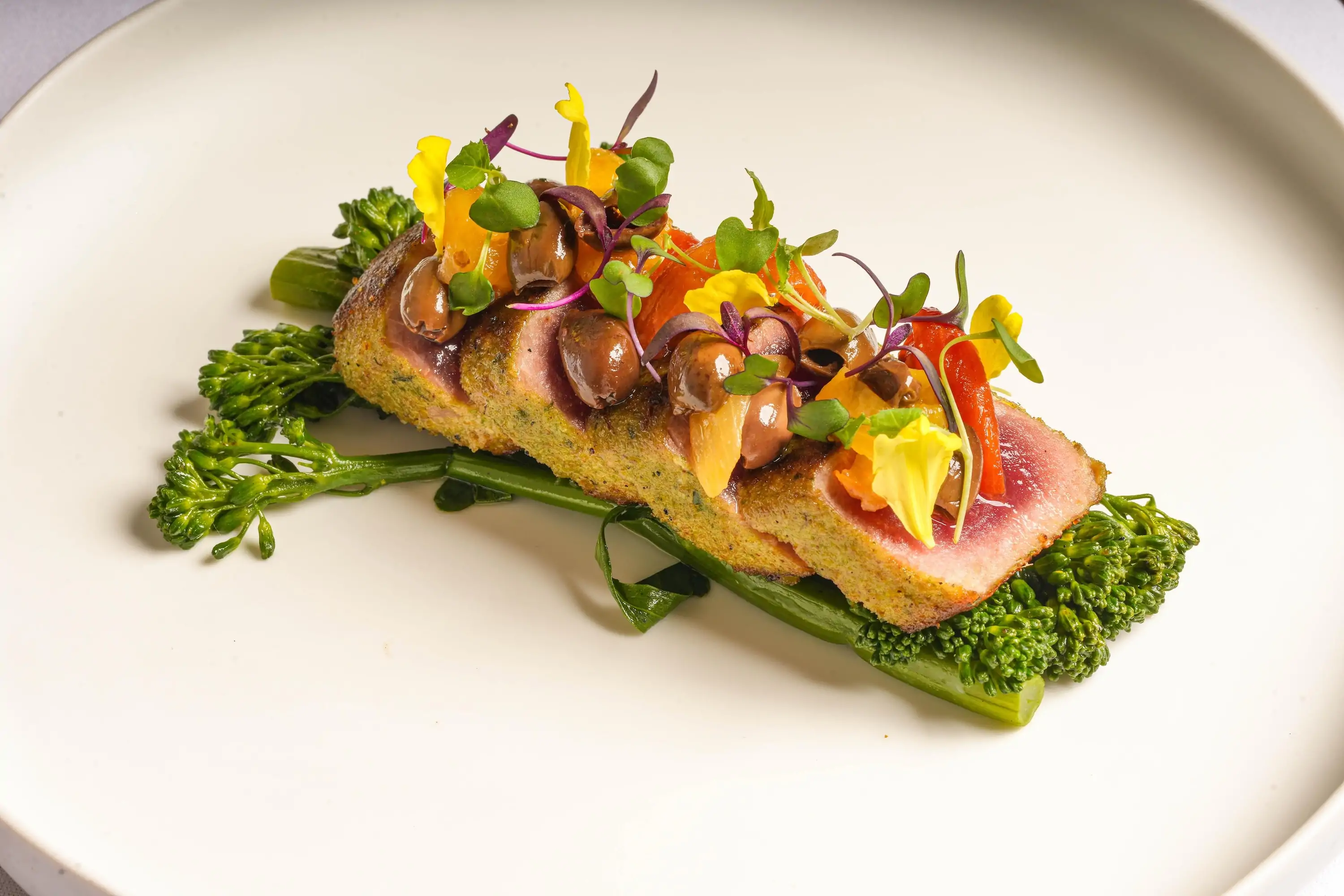 A tuna dish with hazelnuts on top at Miami restaurant Novatore Cucina & Bar