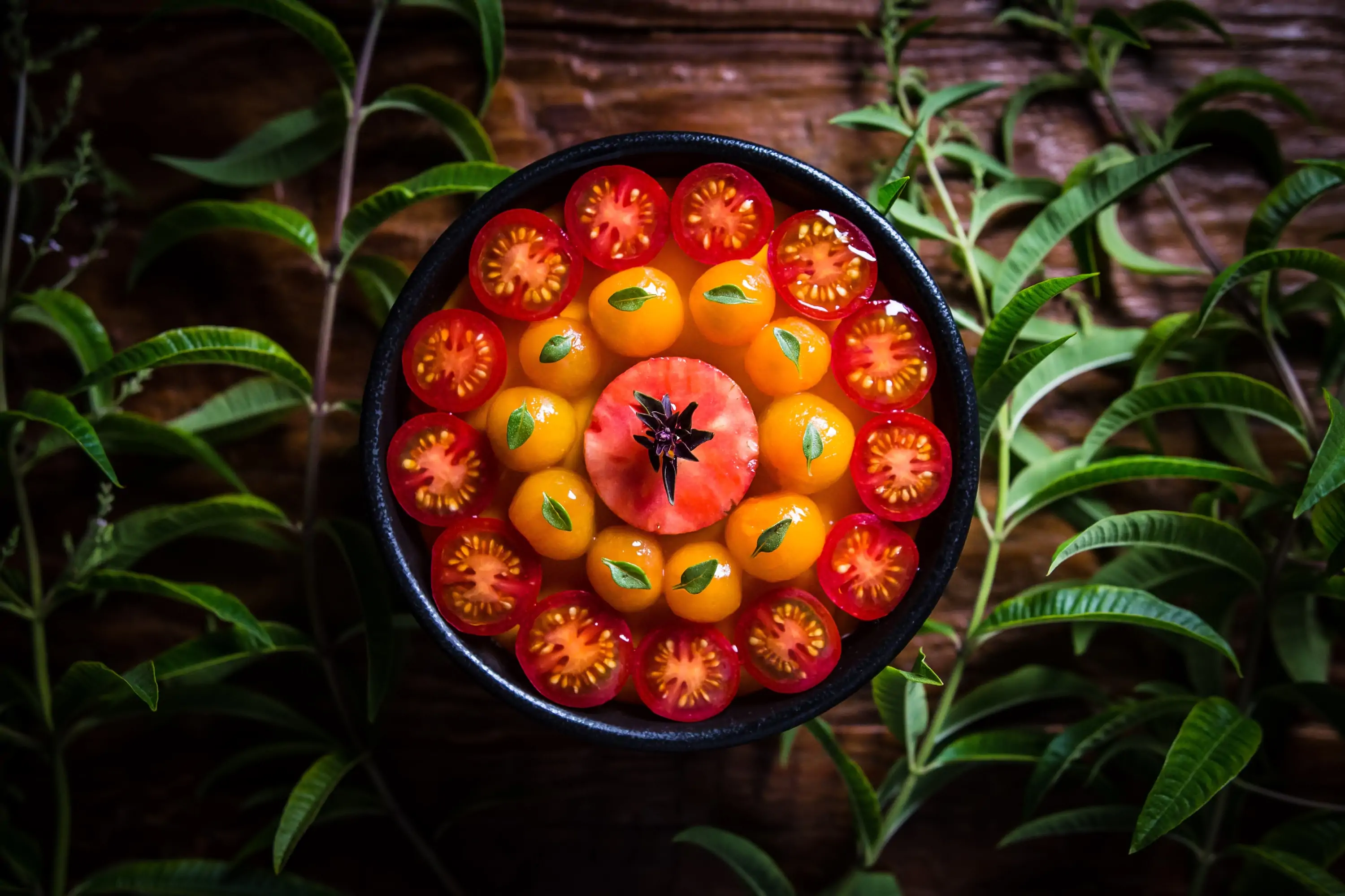 A panna cotta made with sungold tomatoes at Napa restaurant PRESS