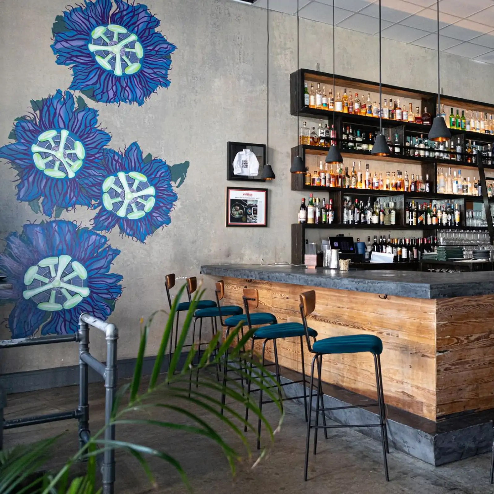 nola-maypop